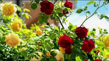 hey bangladeshi wife cums hard in group fuck with cute indian friends!