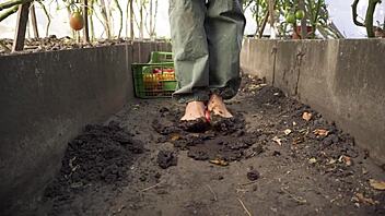 barefoot tomato squashing dirt teases senses