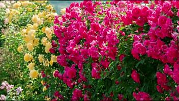 hey bangladeshi wife cums hard in group fuck with cute indian friends!