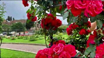 hey bangladeshi wife cums hard in group fuck with cute indian friends!