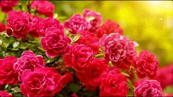 hey bangladeshi wife cums hard in group fuck with cute indian friends!