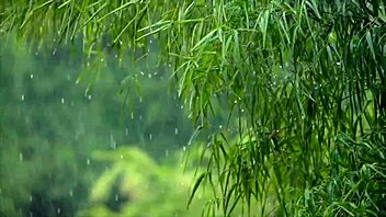 cristian cipriani teaches wife oral sex techniques perfectly.