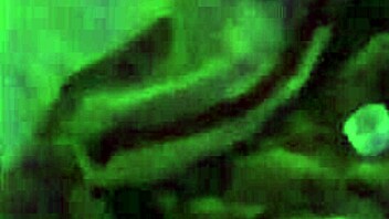 asian babe screams lingerie torn by monster cock tattooed slut