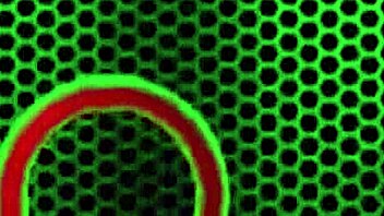 pawg kimber lee strips teasing big tits pussy slowly