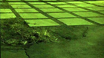 BbW latina milf tattooed tits massaged into interracial monster cock bang