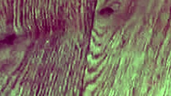 hairy milf pisses thong inserted anal amateur fetish compilation