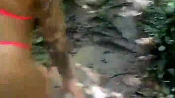 quer ver meus amigos no matinho?