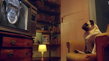 Amy Douxxx Sparks My Deep Horny Cravings on Couch Sex Tease