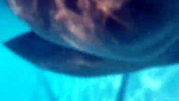 thick fat jiggling ass bounces wildly during intense backshots