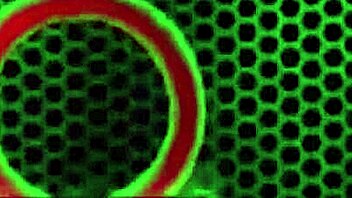 blonde pawg natalia starr's trimmed pussy gets pounded