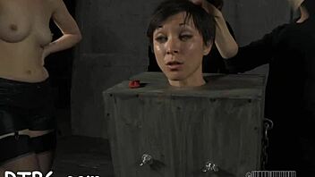 wanna see this beauty get teased and dominated roughly?