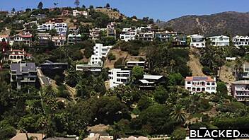 savvy wanna ride mannie's massive bbc next dakota?