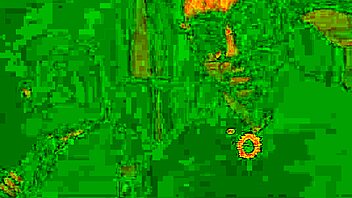 we're enjoying a casual public group hangout outdoors with american friends