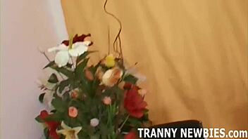 your virgin trans ass begs for my hard fucking now