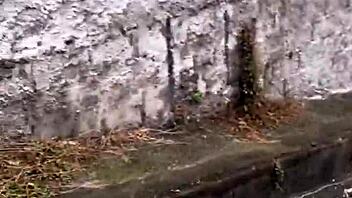 horny pink pussy climbs hill for public fuck