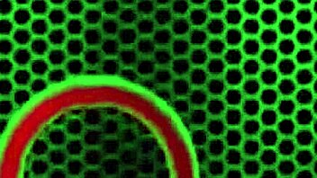 i fingerfuck my big mexican pussy gabby style