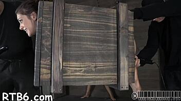 Ready for femdom BDSM nasty cock sucking stories?