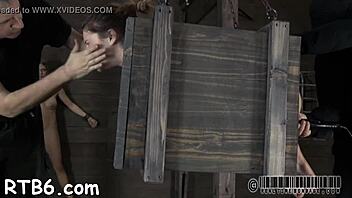 Ready for femdom BDSM nasty cock sucking stories?