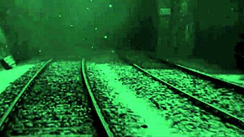 Vintage Hairy Erotic Drawings Collection