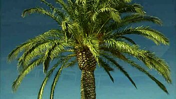 Eva Angelina Deepthroats Thick Cock Fucks Doggystyle Bent Over Outdoors