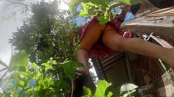 check out her upskirt panties while pruning
