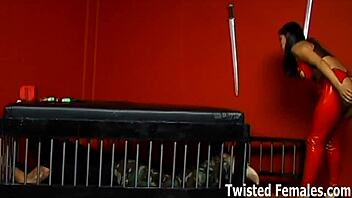 You're Nothing But Femdom Slave Trash