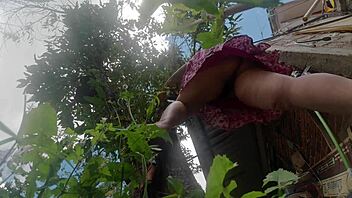check out her upskirt panties while pruning