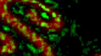 my purple-haired wife toys her pussy for private show fans