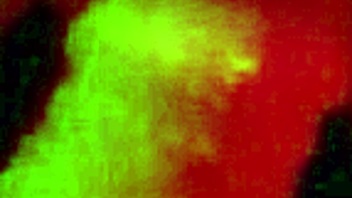 submissive babe's gaping asshole wrecked by anal machine