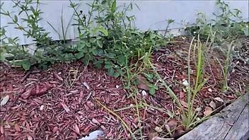 Brianna Beach teases with intriguing POV blowjob