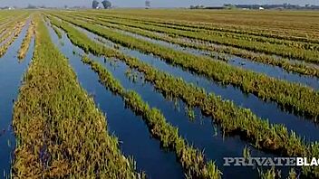 private black bangs bambi bella's big tits wildly