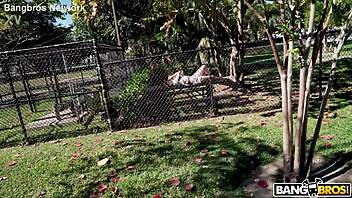 Hey swingers hopping on the bus for wild creampie group fun 😏🚌💦