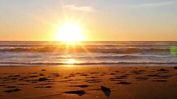 intimate morning pool sex orgasm with alexis tae