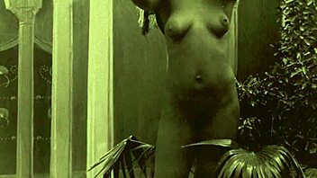 Dark lantern presents vintage women world erotic victorian gentleman confessions