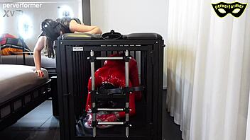 brutal femdom slave endures painful bdsm cage humiliation in boots