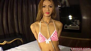 Thai Ladyboy Bunny Bent Over for Anal Pounding