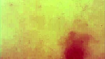 xl flint and sleipnir monster cocks slide on with condom