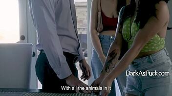 Bedroom Celebrity Apprentice Fucks Horny Groupie Roughly