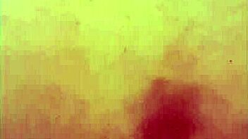 xl flint and sleipnir monster cocks slide on with condom