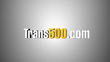 hot shemale sucks cock ass to mouth