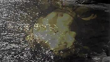 vintage retro hairy erotic artwork showcase