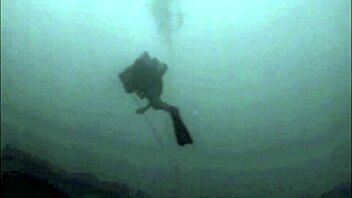 craving these vintage erotic drawings up close?