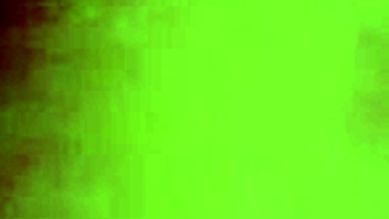 Shaved Wife Deepthroats Sucks Big Cock to Cumshot