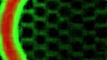 sara jay lingerie milf shakes huge ass and big tits sexy 😘🍑💋