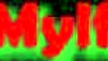 Vanessa Sky Stars in Suggestive Mr Mrs Smith Parody