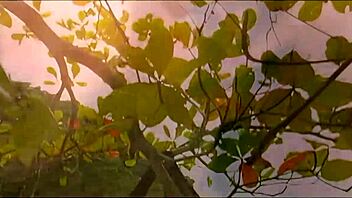 acrobatic beach fuck rips clothes leading to facial cumshot on exotic babe