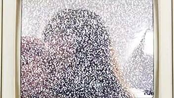 minnie rose's pussy creampied hard