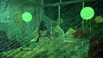 latina lady chats while giving playful oral fun