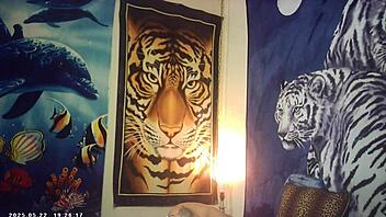 first timer bombshell feels machine pounding backstage tits!