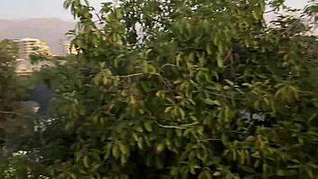 Leaked Video Of Curvy Chilean Gatita Veve Fucking Young Fan